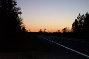 dcp_1526.jpg